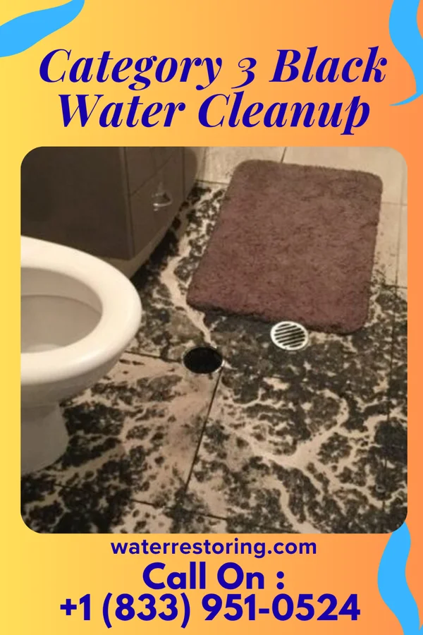 Category 3 Black Water Cleanup in Columbus, OH