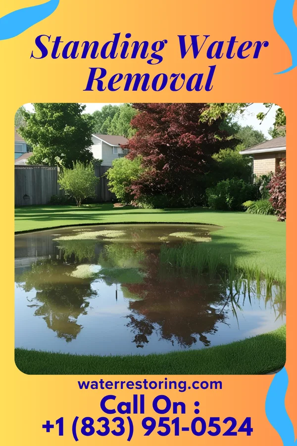 Standing Water Removal in Columbus, OH
